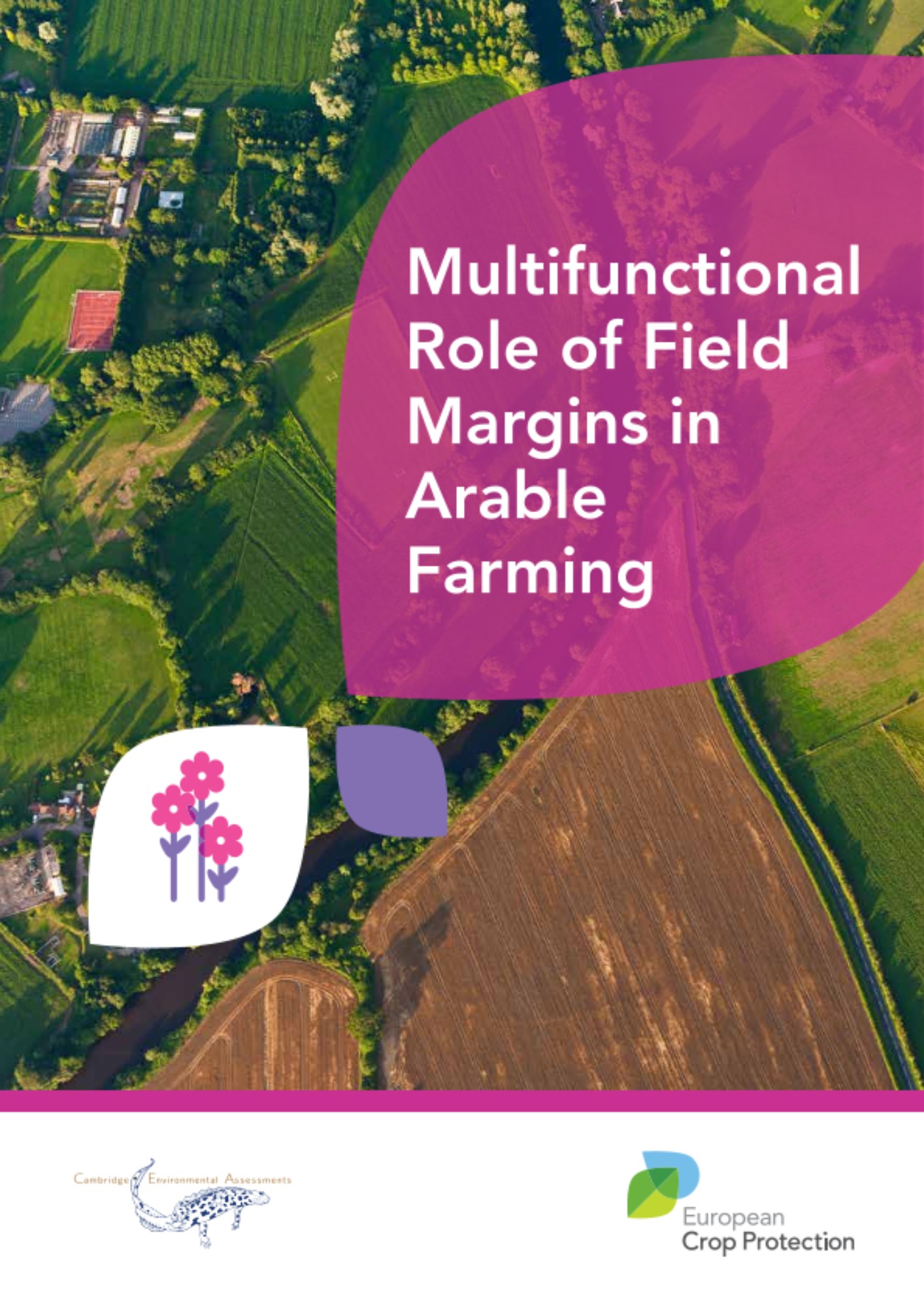 Preview Image Preview Image